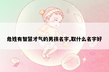 危姓有智慧才气的男孩名字,取什么名字好